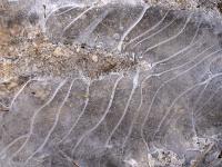 Kiesansammlung in Eisdecke mit geschwungenen hellen Linien